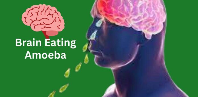 Comprehensive Guide on Brain-Eating Amoeba Risks, Symptoms, and Prevention Strategies