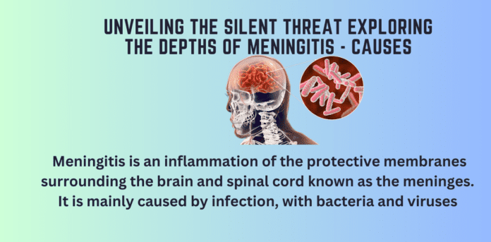 Unveiling the Silent Threat Exploring the Depths of Meningitis - Causes