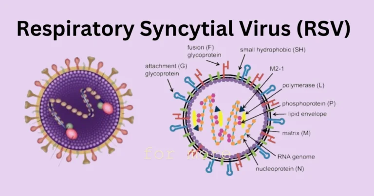 Vaccines for Respiratory Syncytial Virus (RSV)