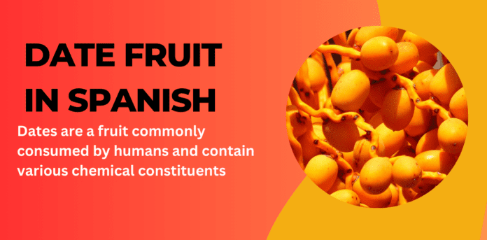 Date fruit of spanish
