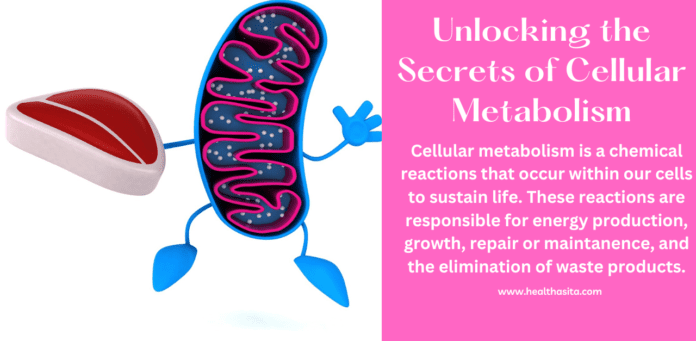 Secrets of Cellular Metabolism