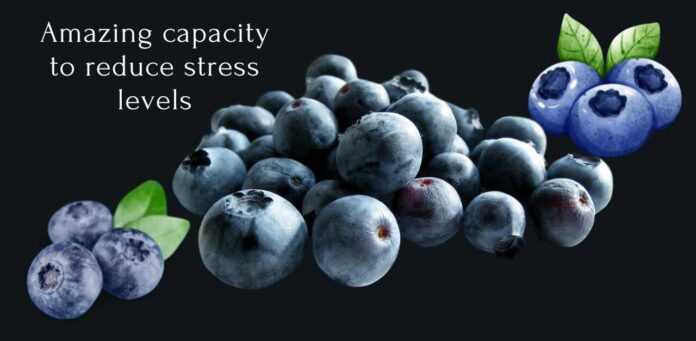 Blueberries is a super power natural fruit for stress relief