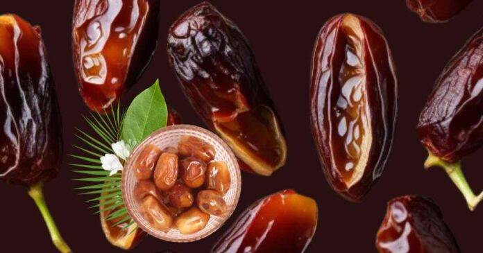 Medjool Dates Fruit in Spanish 2024: A Taste of Tradition & Health