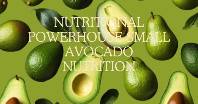 Unveiling the Nutritional Powerhouse Small Avocado Nutrition