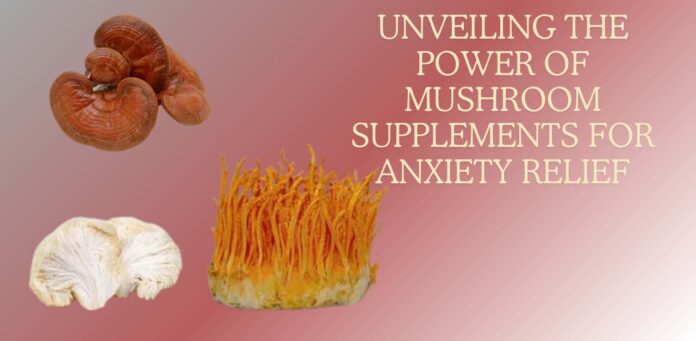 Best-mushroom-supplement-for-anxiety