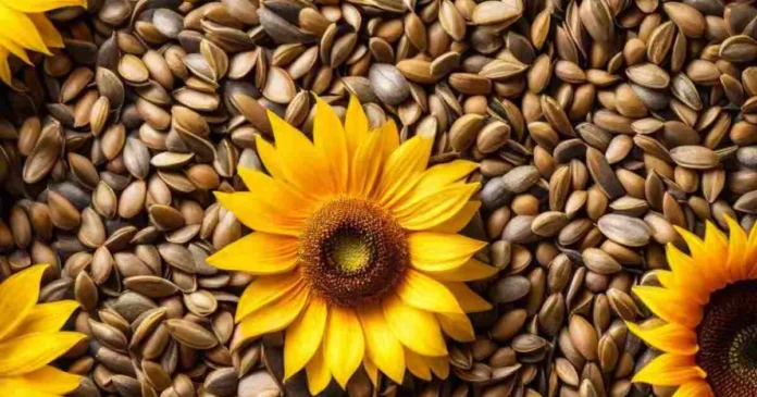 Pepitas vs Sunflower Seeds