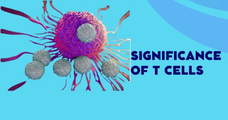 Role of Specific Proteins in Activating Immune Cells